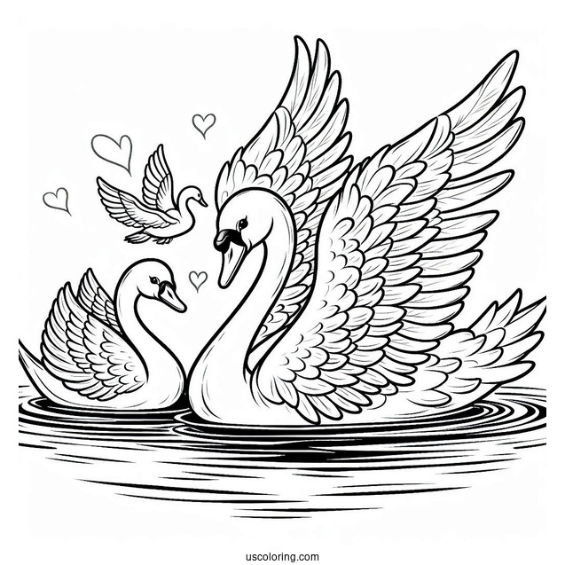 Two Adults Swan Coloring Page Swimming