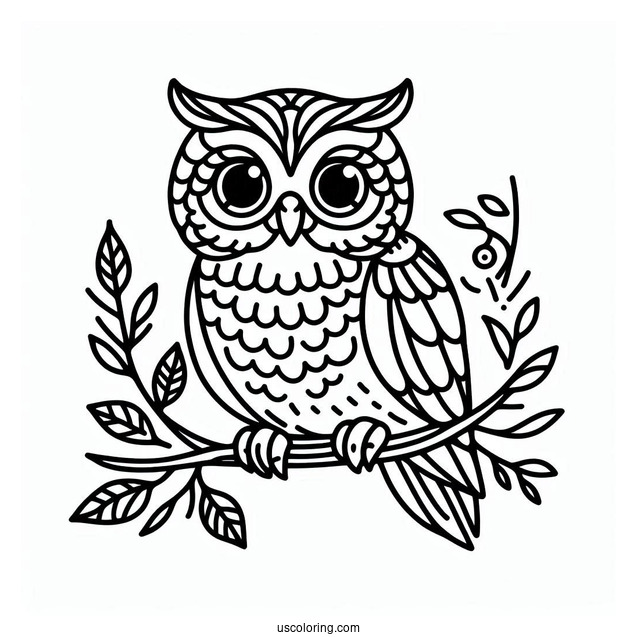 Simple Outline Of Owl To Color