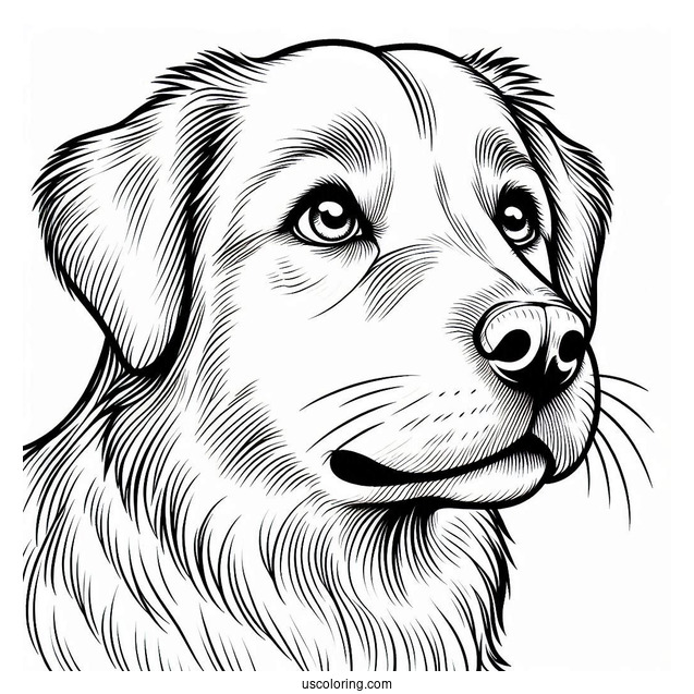 Close Up Of Dog Face Coloring Sheet