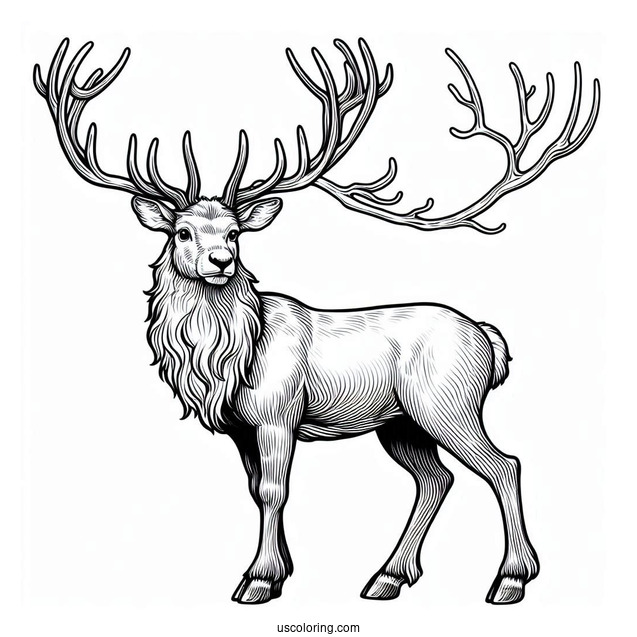 Realistic Looking Reindeer To Color