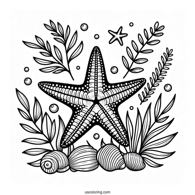 Starfish Coloring Page With Seashells And Seaweeds