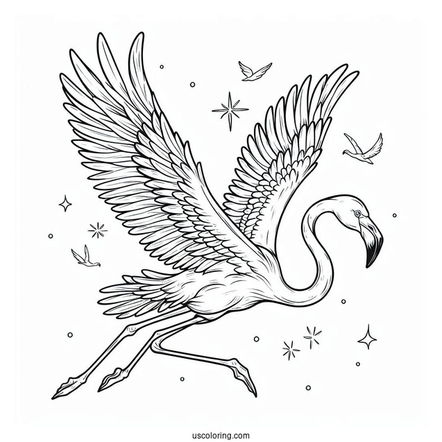 Flamingo Flying With Wings Spread Wide Open