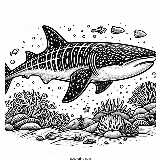 Detailed Whale Shark Coloring Page