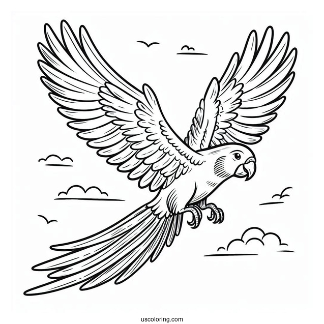 Parrot Flying With Large Wings