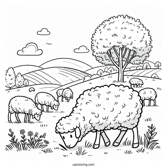 Sheep Grazing On A Farm Coloring Page