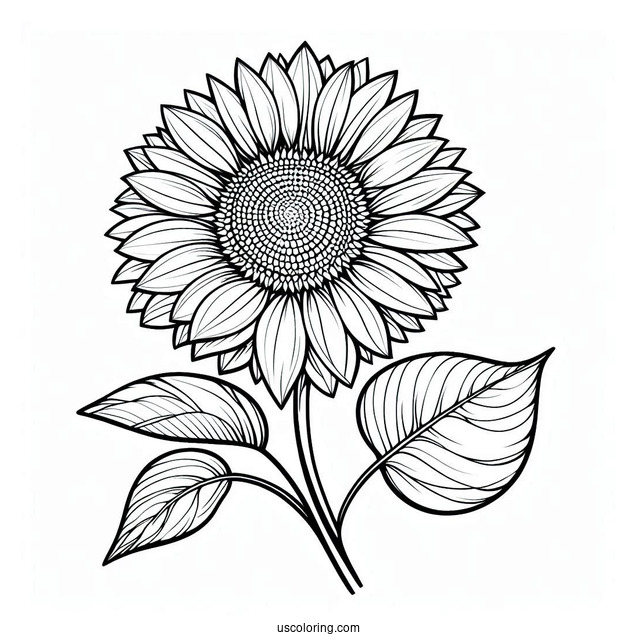 Simple Sunflower To Color