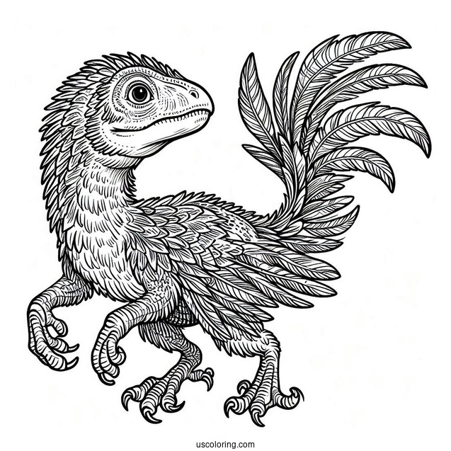 Feathery Velociraptor Coloring Sheet