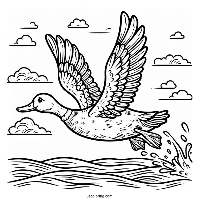 Coloring Page Of a Duck Flying