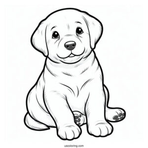 Labrador Puppy Coloring Sheet For Kids