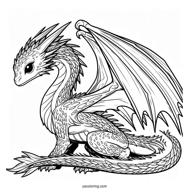 Coloring Sheet Of Night Fury Dragon