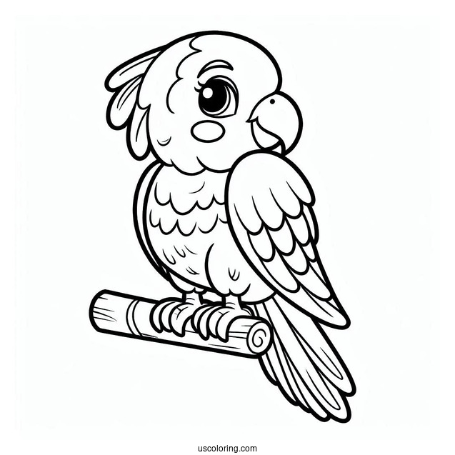 Easy Parrot To Color For Kids
