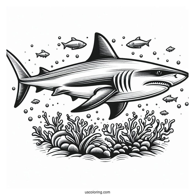 Blacktip Shark Coloring Page Family