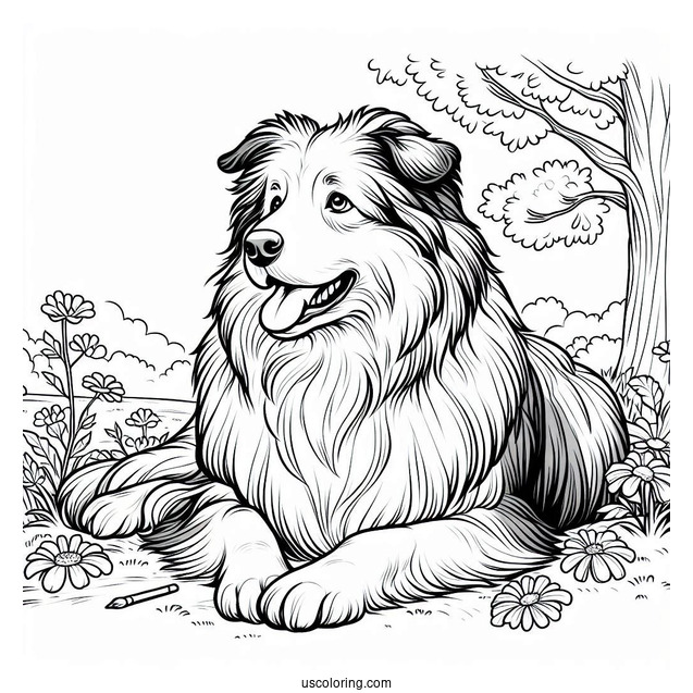 Large Sheepdog Resting In The Field Coloring Page
