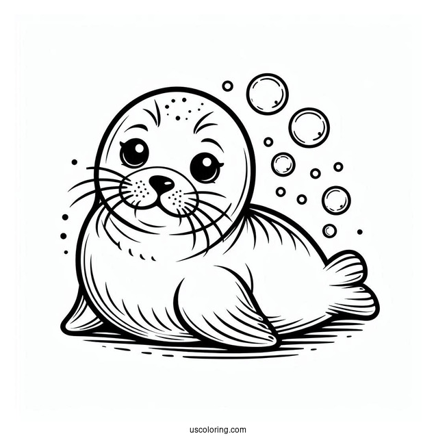 Easy Outline Of Baby Seal Coloring Page