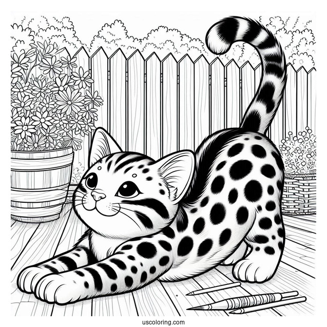 Spotted Cat Stretching In Backyard Coloring In