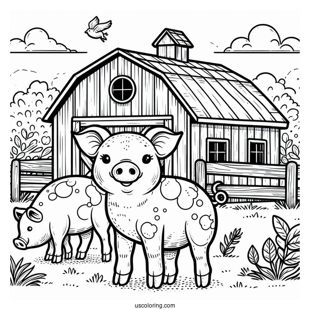 Farm Bred Pig To Color