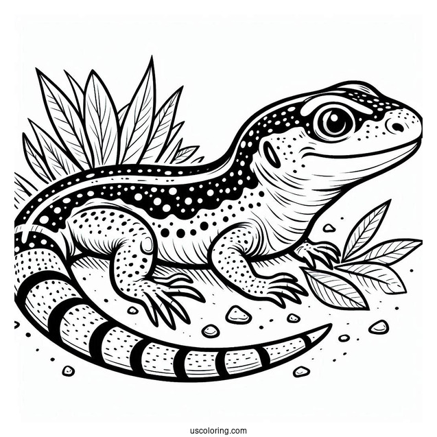 Sand Lizard Coloring Page On Leaf