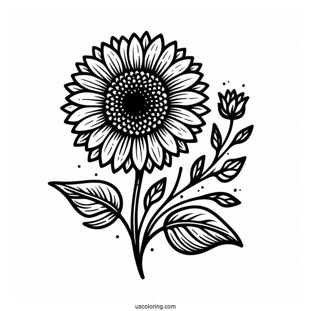 Small Outline Of A Sunflower