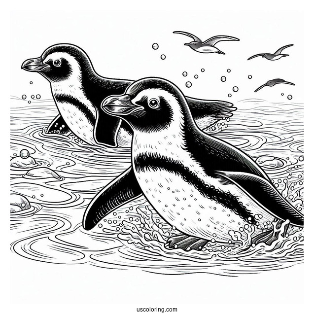 Swimming Galapagos Penguin Coloring In