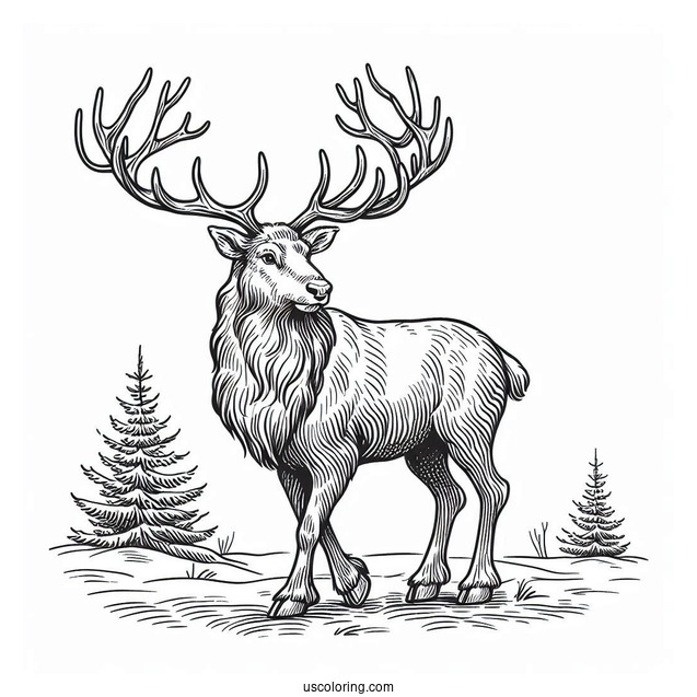 Coloring Page Of a Large Male Reindeer During Winter