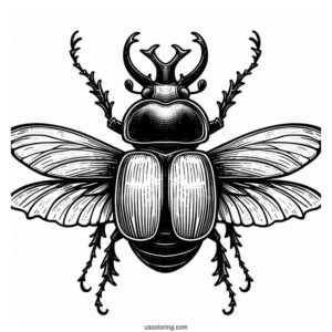 Goliath Beetle Coloring Page