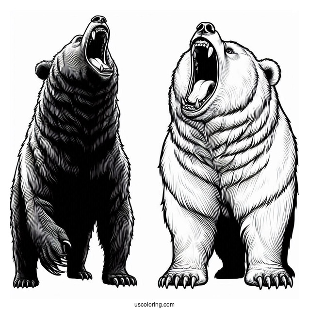Scary Bear Coloring Page Roaring While Standing