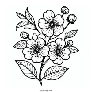 Flower Coloring Pages Of Easy Cherry Blossoms For Kids