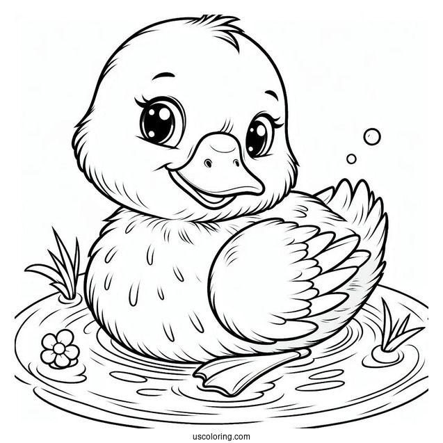 Adorable Duckling Floating In Pond