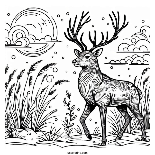 Wild Reindeer Walking In The Snow