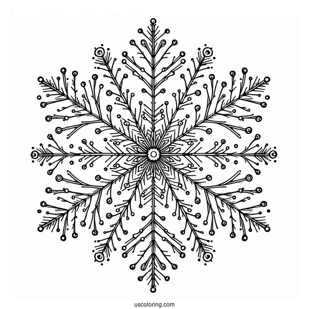 Stellar Dendrite Snowflake Coloring Page Outline