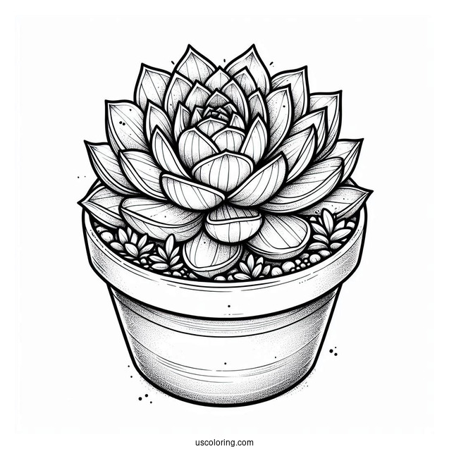 Realistic Succulent Coloring Page In A Flower Pot