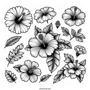 Flower Coloring Pages Of Hibiscus, Daisy, And Dahlias