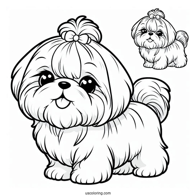 Adorable Shih Tzu To Color