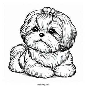 Adorable Shih Tzu To Color
