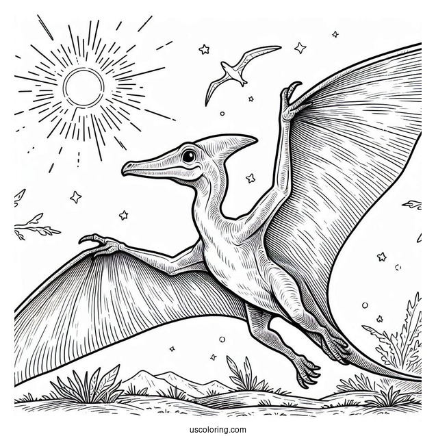 Large Pterodactyl Coloring Page Under The Sun