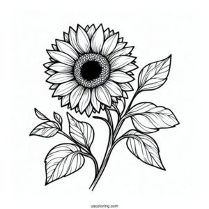 Simple Sunflower Coloring In
