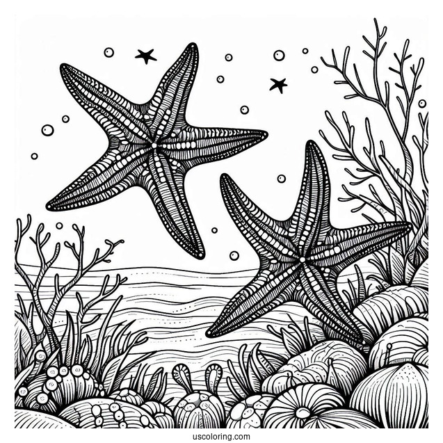 Two Starfish Coloring Page Crawling Along Coral Reef