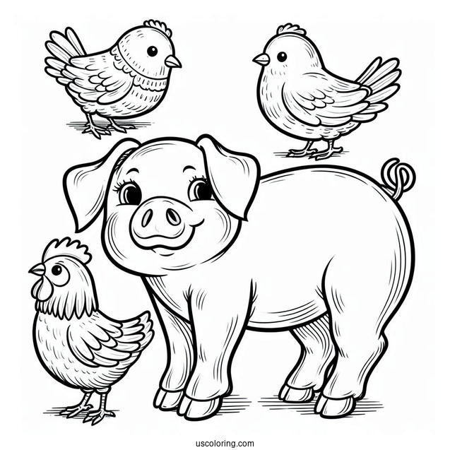 Detailed Pig And Chicken Coloring Sheet