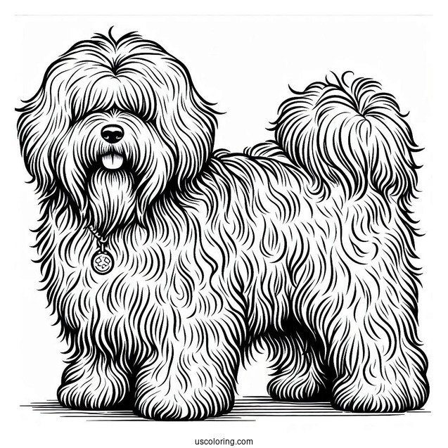 Komondor Dog With Overgrown Fur