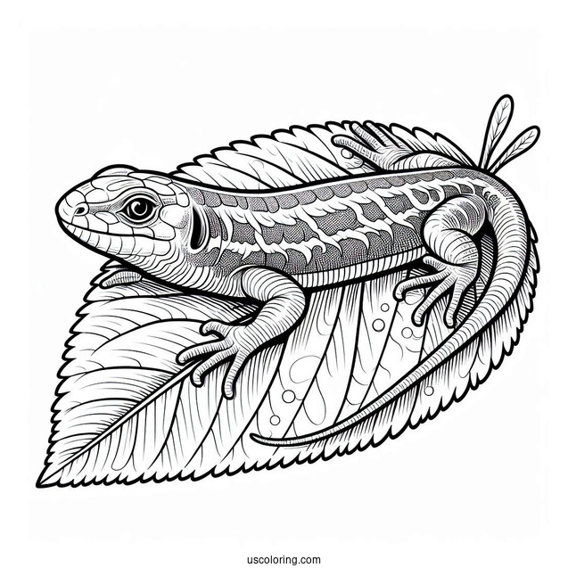 Sand Lizard Coloring Page On Leaf