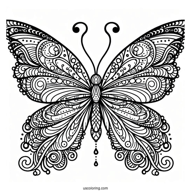 Butterfly Coloring Page Zentangle With Elaborate Wings