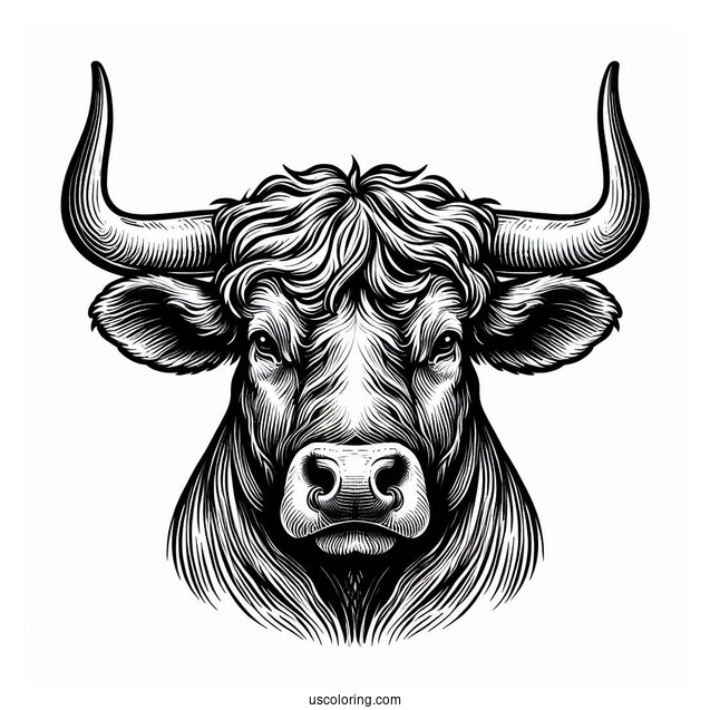 Close Up Of Bull Horns Coloring Sheet