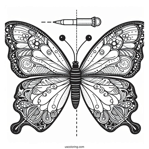 Adorable Butterfly Coloring Page With Sectioned Body