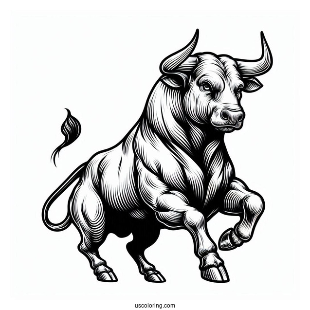 Realistic Outline Of Fighting Bull