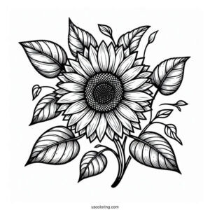 Sunflower Surrounded By Leaves