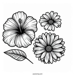 Flower Coloring Pages Of Hibiscus, Daisy, And Dahlias