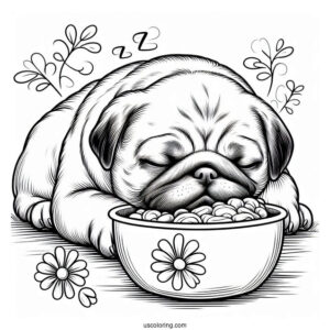 Adorable Pug Sleeping In Front Of Bowl