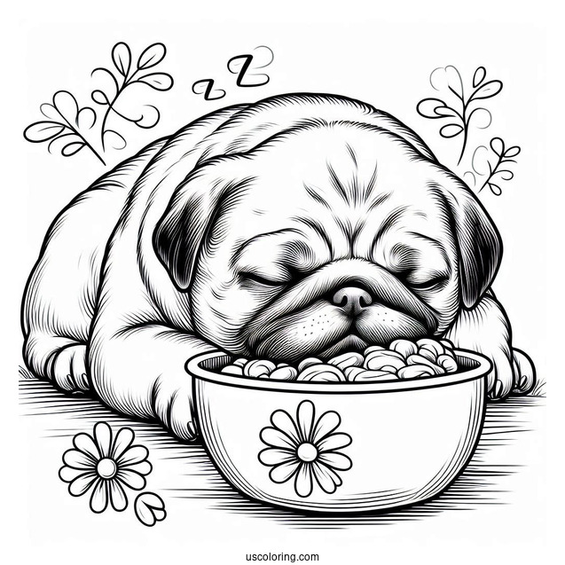 Adorable Pug Sleeping In Front Of Bowl