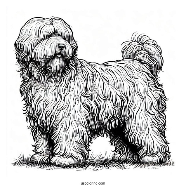 Komondor Dog With Overgrown Fur