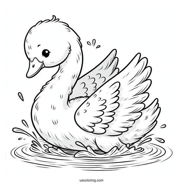 Baby Swan Coloring Page Emerging From Pond